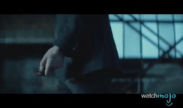 beeg视频,热门内容背后的故事与影响